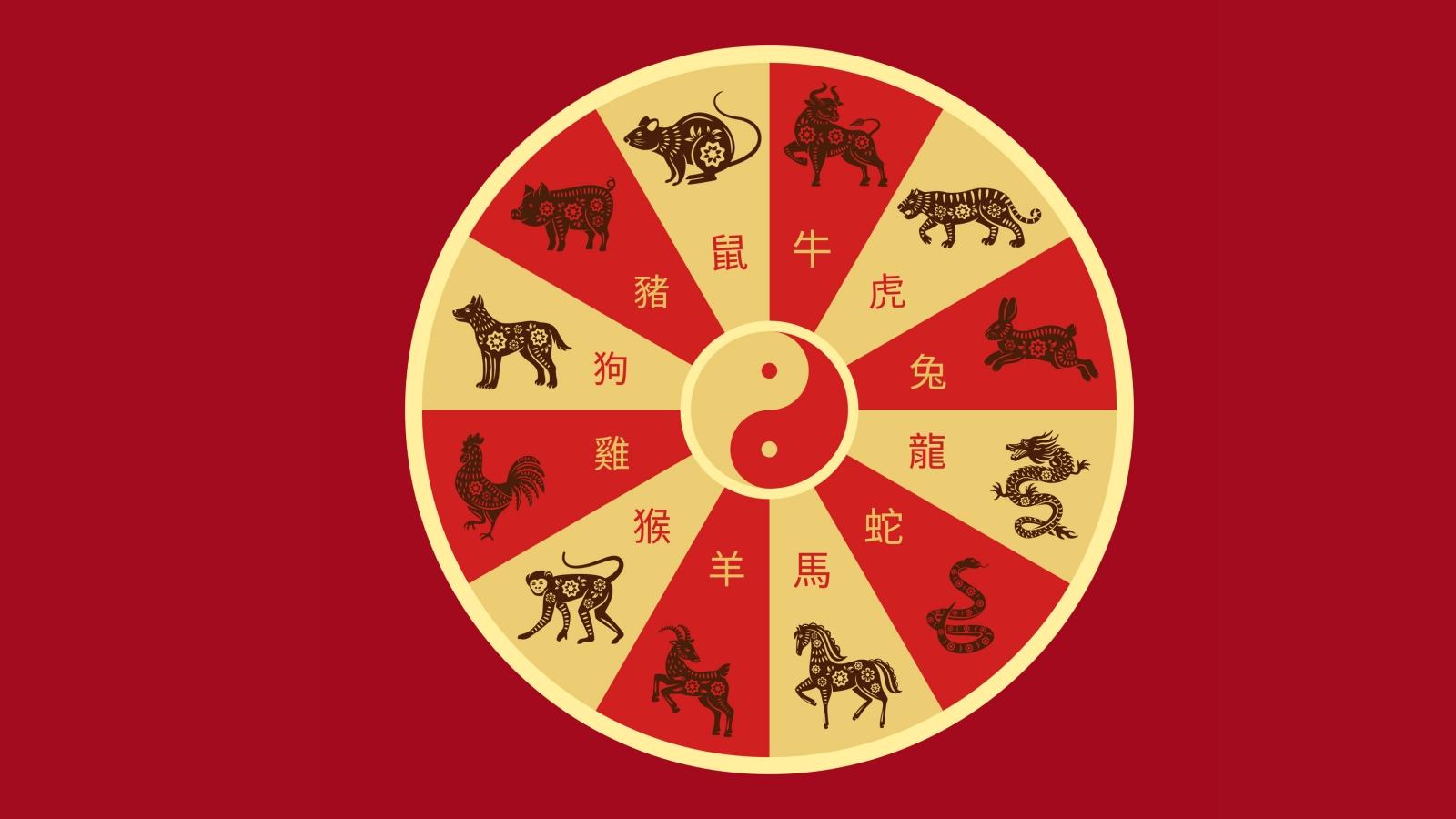 Para pakar astrologi Tiongkok merilis ramalan shio untuk besok, Kamis (5/3), untuk membantu Anda menemukan peruntungan Anda, peluang rezeki, dan dinamika hubungan asmara di mana pun Anda berada. Foto: jogja.tribunnews.com - mimbarjumat.com